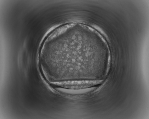 X0000085221040200703301659