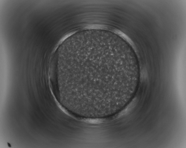 X0000085221041200703301659