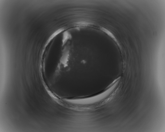 X0000085221042200703301659