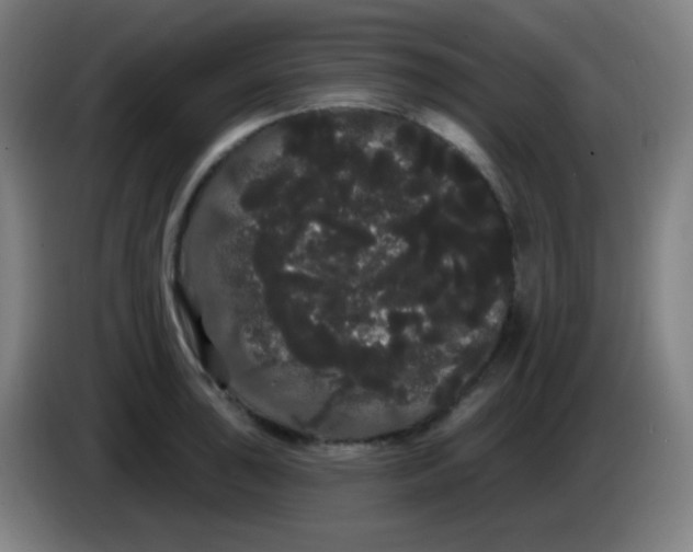 X0000085221043200703301659