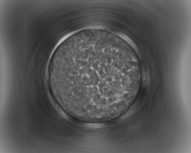 X0000085221044200703301659