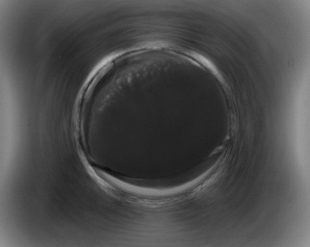 X0000085221046200703301659