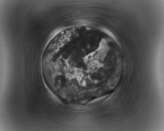 X0000085221047200703301659