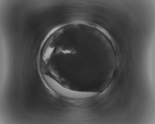 X0000085221048200703301659