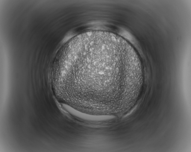 X0000085221049200703301659