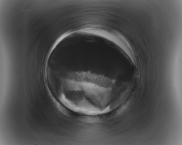 X0000085221050200703301659
