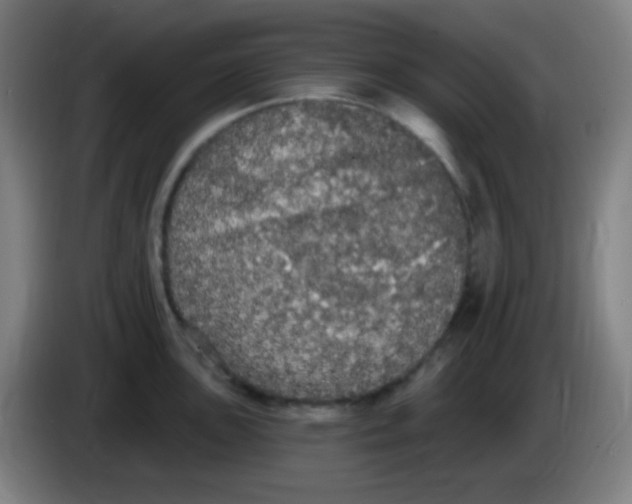 X0000085221051200703301659