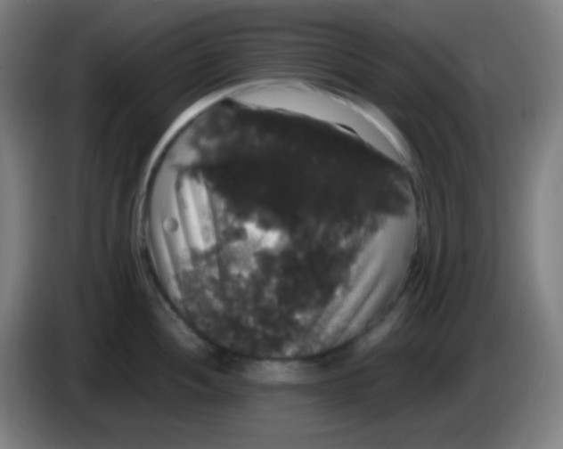 X0000085221052200703301659