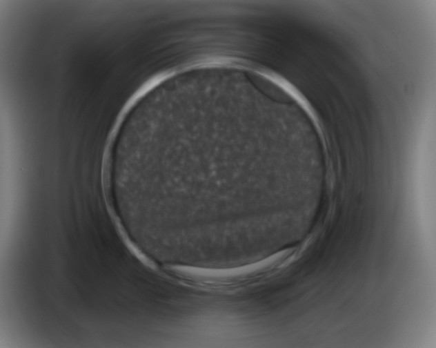 X0000085221053200703301659