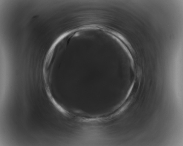 X0000085221054200703301659