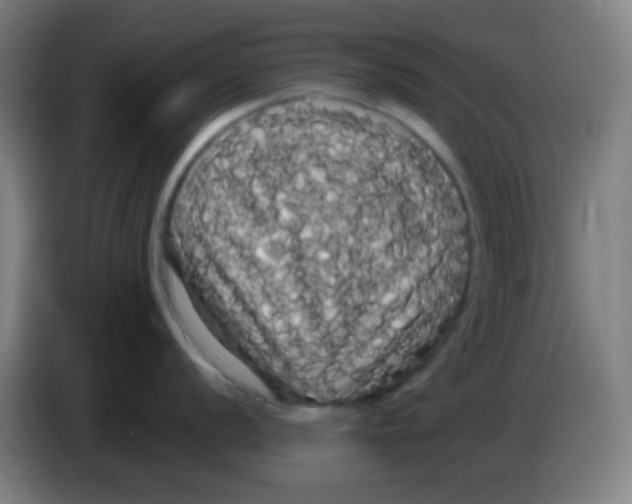 X0000085221056200703301659