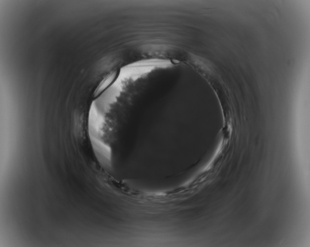 X0000085221060200703301658