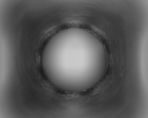 X0000085221061200703301658