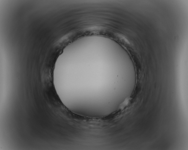 X0000085221062200703301658