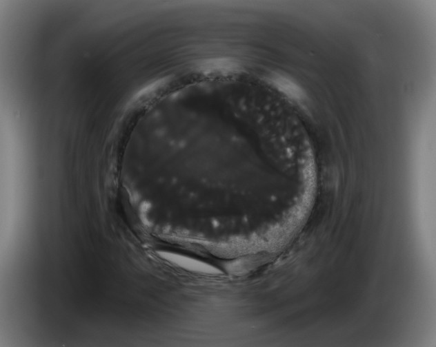 X0000085221063200703301658