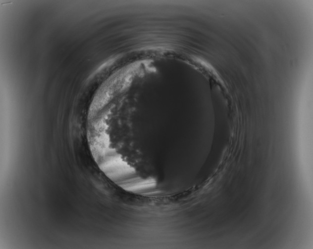 X0000085221064200703301658