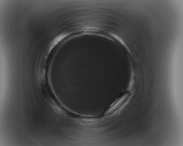 X0000085221066200703301658