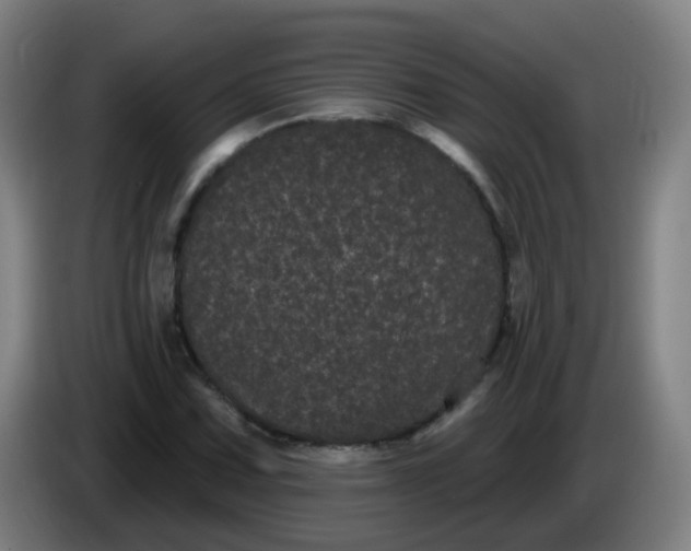 X0000085221067200703301658
