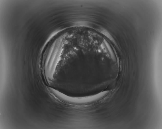 X0000085221068200703301658