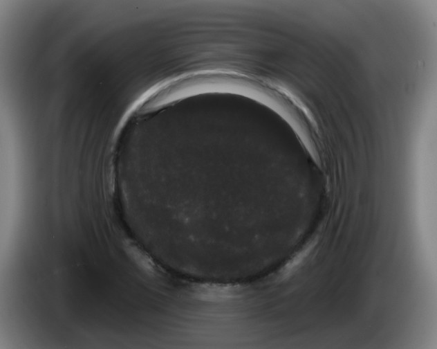 X0000085221069200703301658