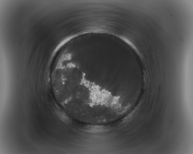 X0000085221070200703301658