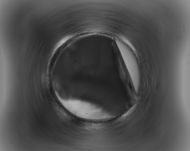 X0000085221071200703301658
