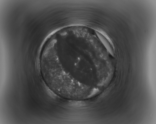 X0000085221072200703301658