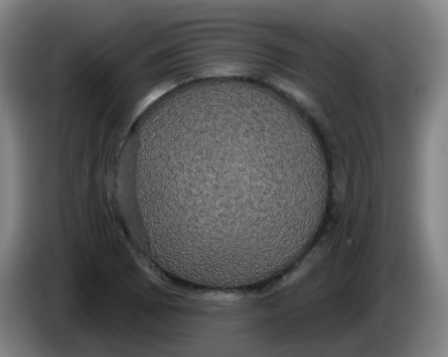 X0000085221073200703301658