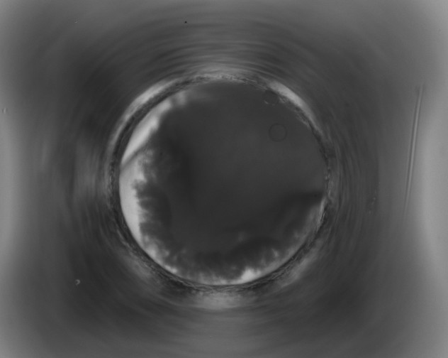 X0000085221074200703301658
