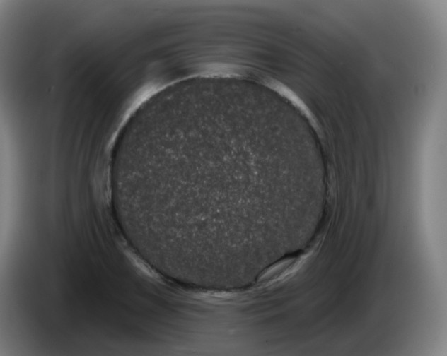 X0000085221075200703301658