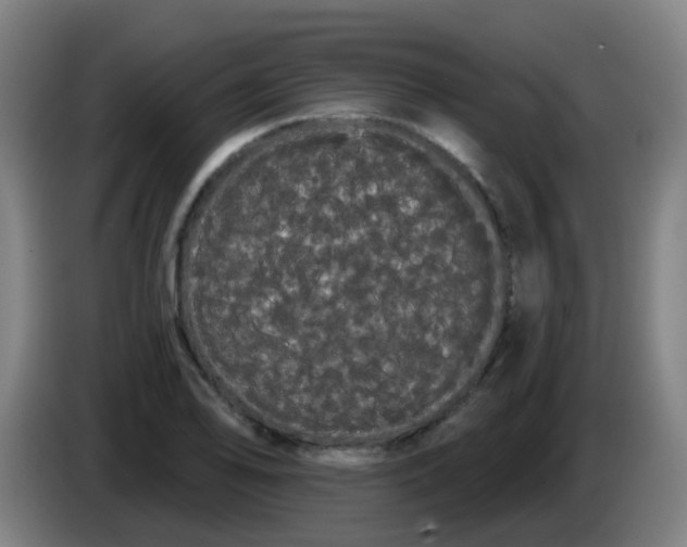 X0000085221078200703301658