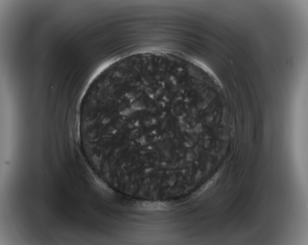 X0000085221079200703301658