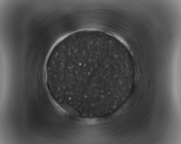 X0000085221080200703301658