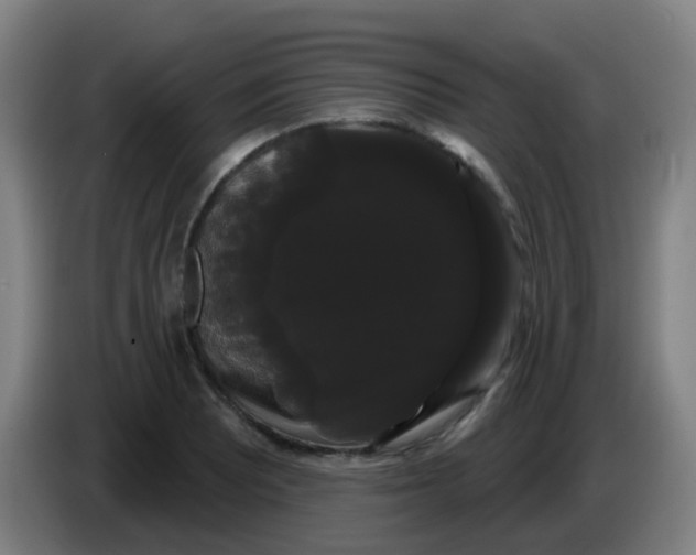 X0000085221081200703301658
