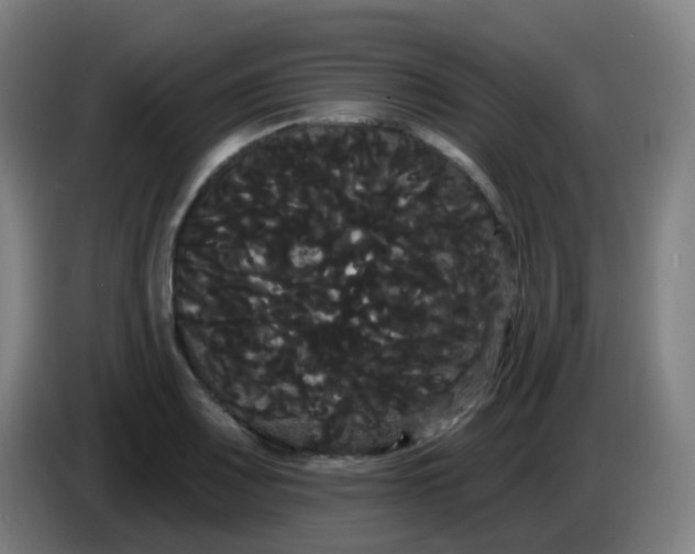 X0000085221083200703301658