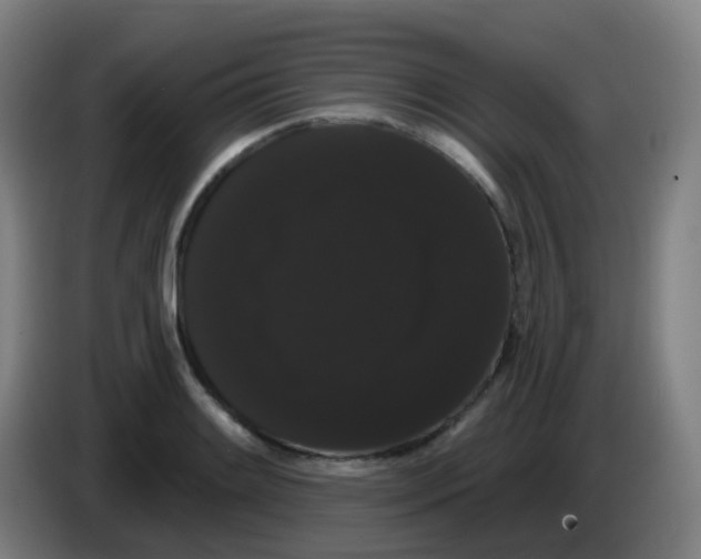 X0000085221084200703301658
