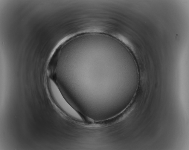 X0000085221085200703301658