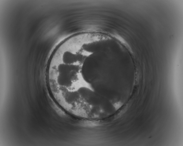 X0000085221086200703301658