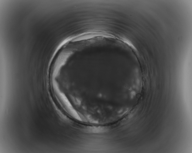 X0000085221087200703301658