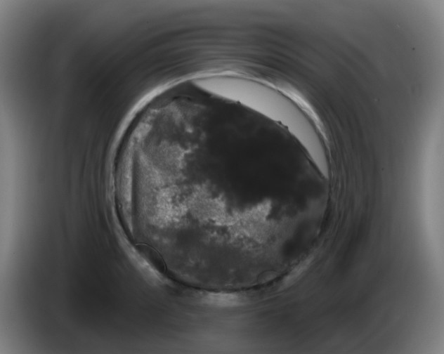 X0000085221088200703301658