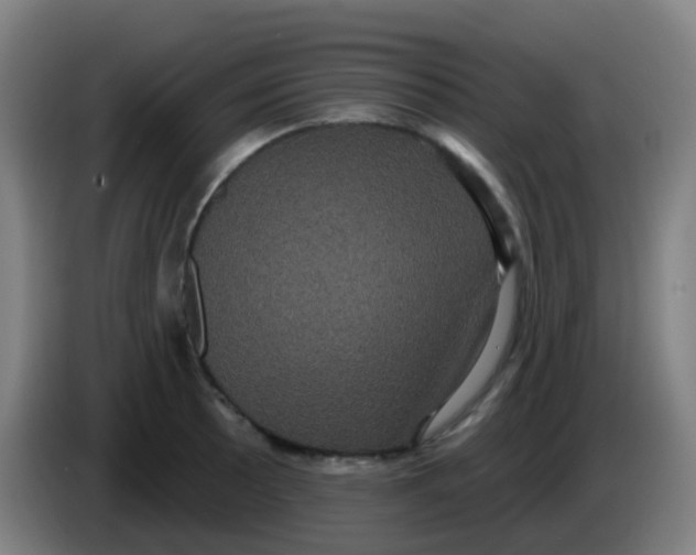 X0000085221089200703301658