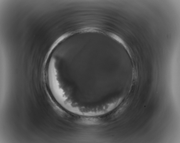 X0000085221090200703301658