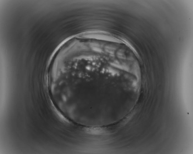 X0000085221092200703301658