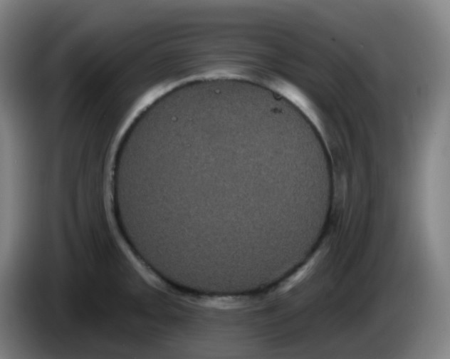 X0000085221093200703301658