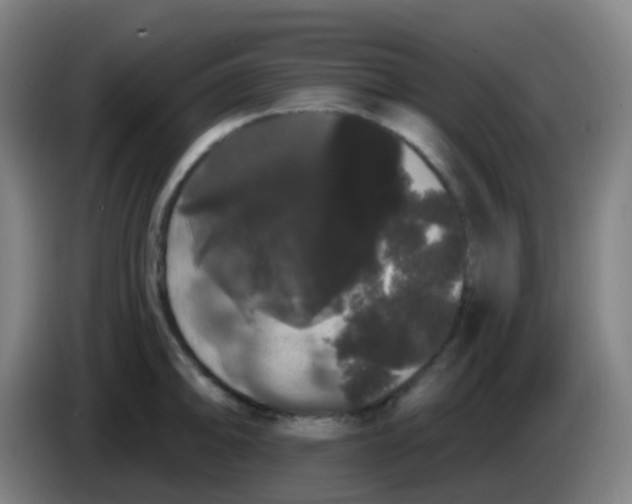 X0000085221094200703301658