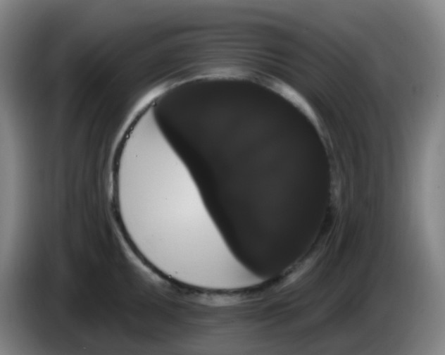 X0000085221095200703301658
