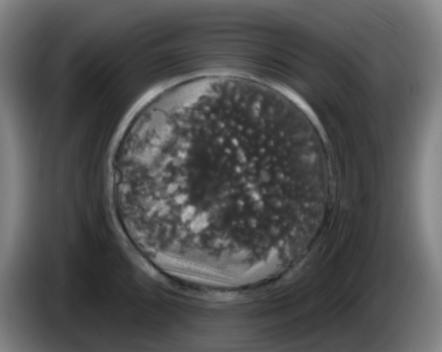X0000085221096200703301658