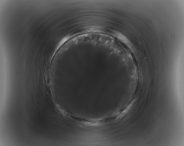 X0000085221097200703301658