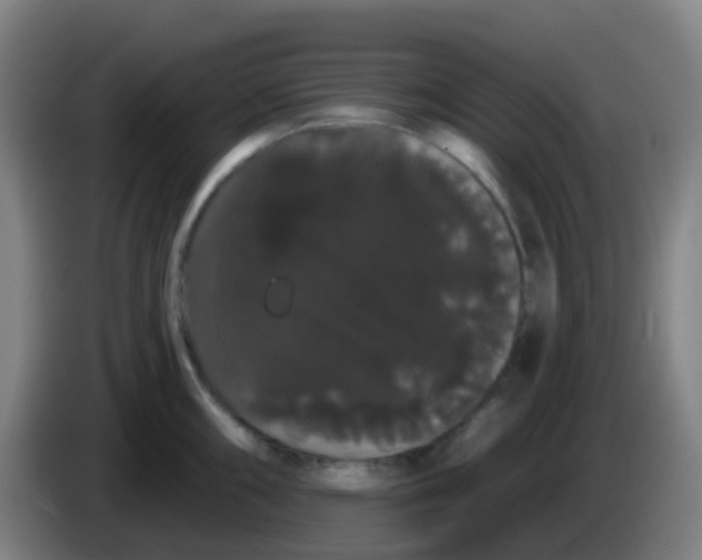 X0000085221098200703301658