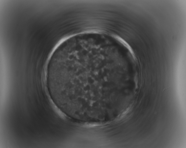 X0000085221099200703301658